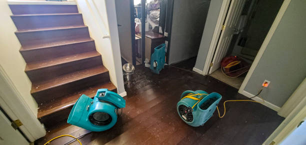 Best 24-hour water damage restoration  in Union Hall, VA