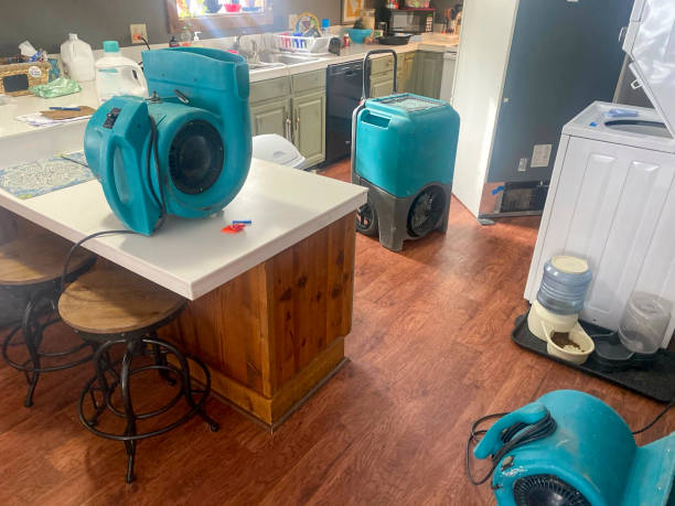 Best 24/7 water damage repair  in Union Hall, VA