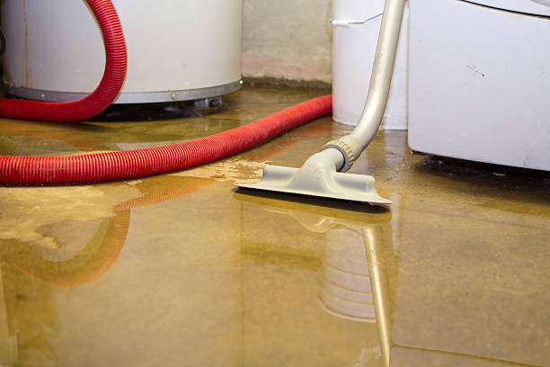 Water damage restoration mold remediation in VA