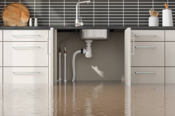 Best Flood damage cleanup  in Union Hall, VA