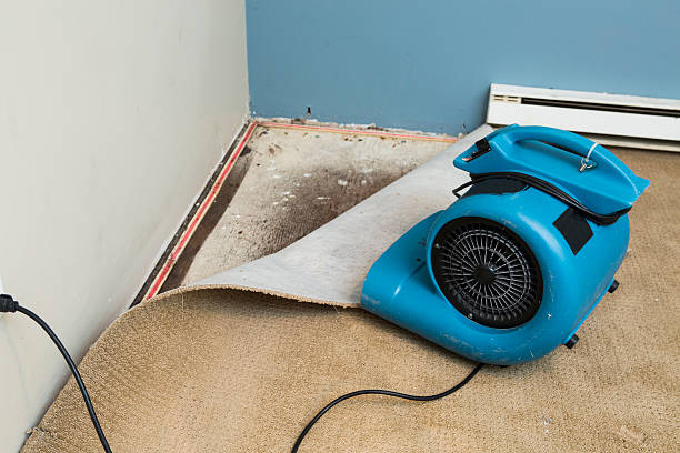 Best Ceiling water damage repair  in Union Hall, VA